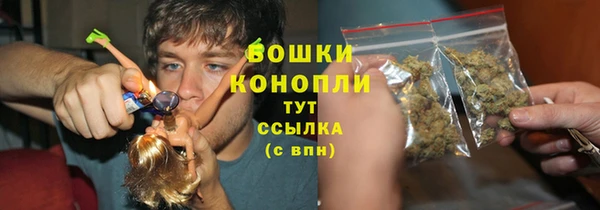 гидропоника Долгопрудный