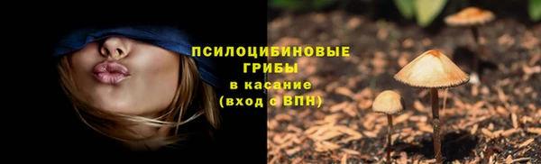 гидропоника Долгопрудный